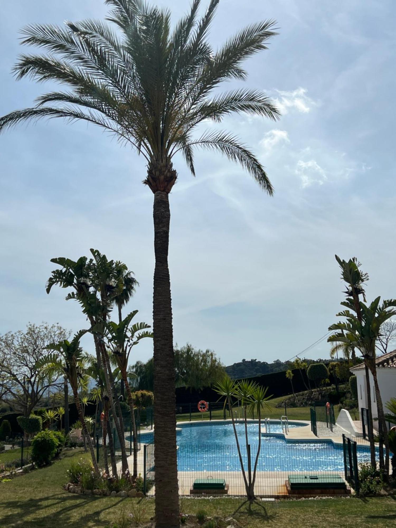 Finca San Antonio Two Bedroom Apartment With Swimming Pool Mijas Ngoại thất bức ảnh